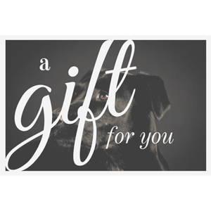 Gift Certificates Gift Certificates